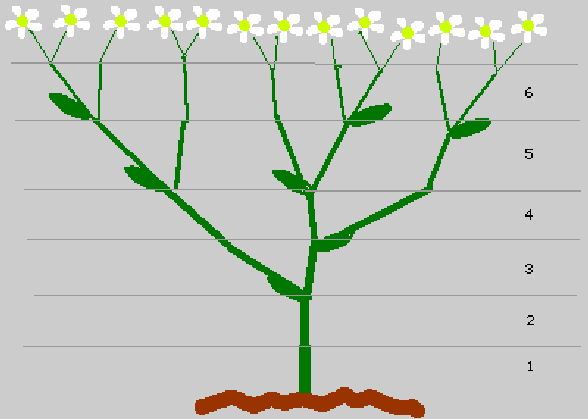 lifetree.gif
