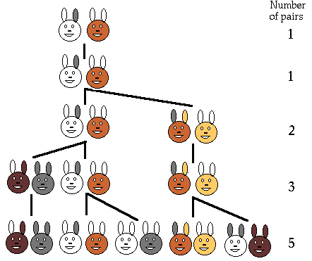rabitsfamily.gif